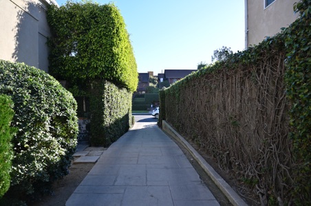 Enlarge photo 106