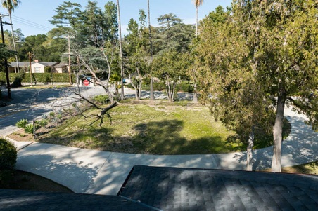 Enlarge photo 63