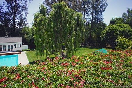 Enlarge photo 81