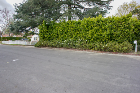 Enlarge photo 85