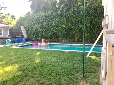 Enlarge photo 87