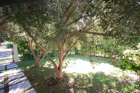Enlarge photo 10