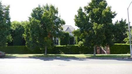 Enlarge photo 2