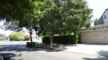Enlarge photo 4