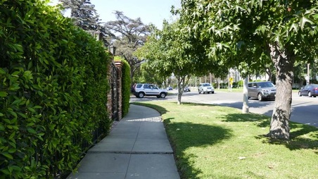 Enlarge photo 14