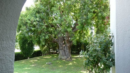 Enlarge photo 17