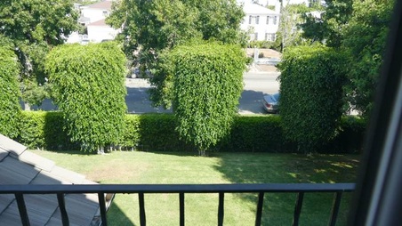 Enlarge photo 22