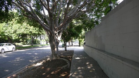 Enlarge photo 175