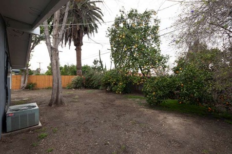 Enlarge photo 45