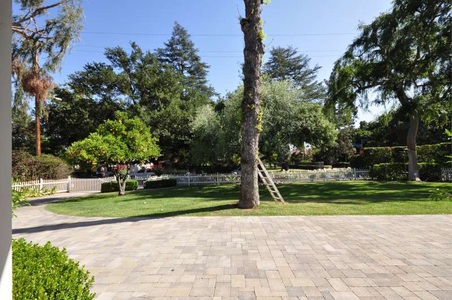 Enlarge photo 5