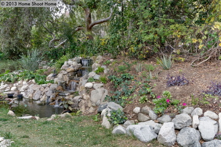 Enlarge photo 31