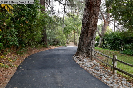 Enlarge photo 54