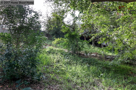 Enlarge photo 56