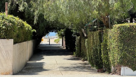 Enlarge photo 26