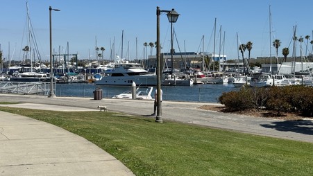Enlarge photo 35
