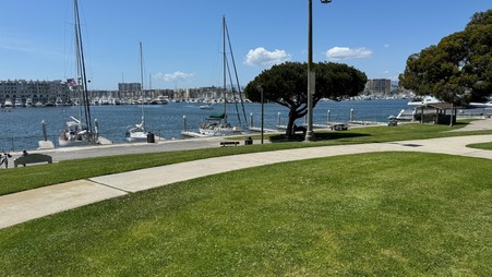 Enlarge photo 56