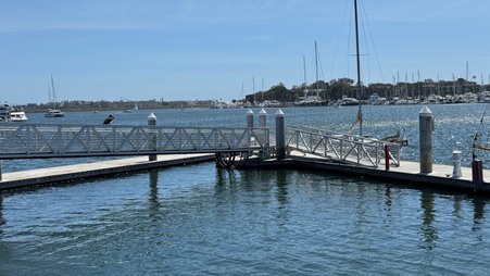 Enlarge photo 78