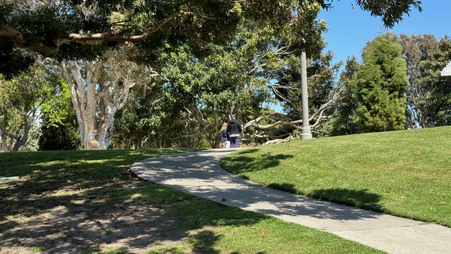 Enlarge photo 81