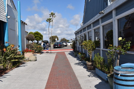 Enlarge photo 31
