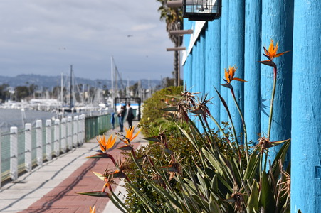 Enlarge photo 23