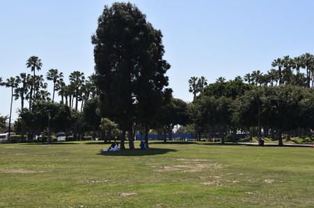 Enlarge photo 18