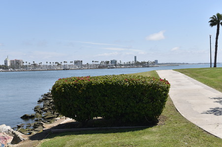 Harry bridges park