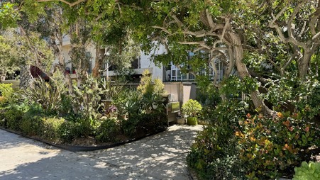 Enlarge photo 27