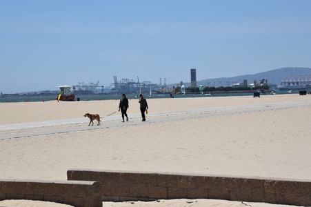 Enlarge photo 16