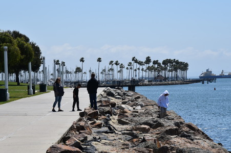 Enlarge photo 7