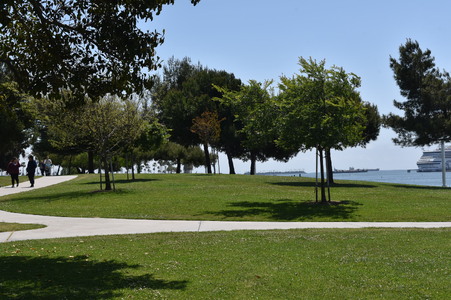 Enlarge photo 13