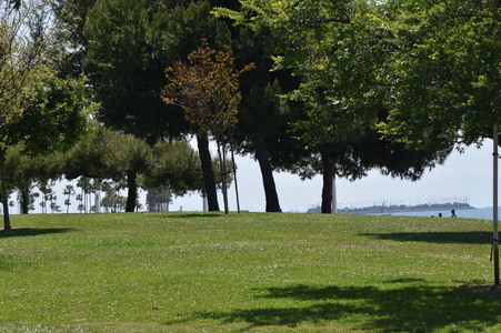 Enlarge photo 14