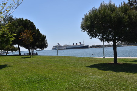 Enlarge photo 15
