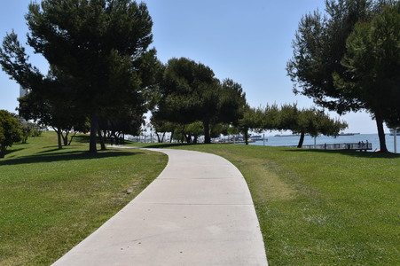 Enlarge photo 17