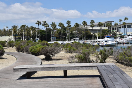 Enlarge photo 33