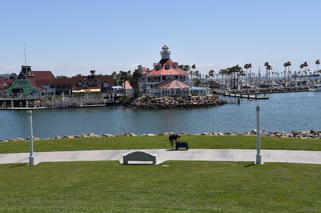 Enlarge photo 39