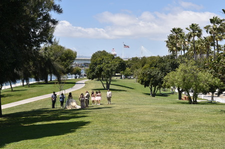 Enlarge photo 41