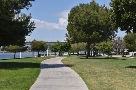 Enlarge photo 46
