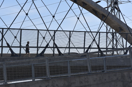 Enlarge photo 61