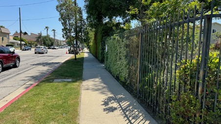 Enlarge photo 59
