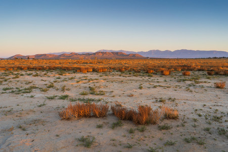 DESERT_ENCAMPMENT