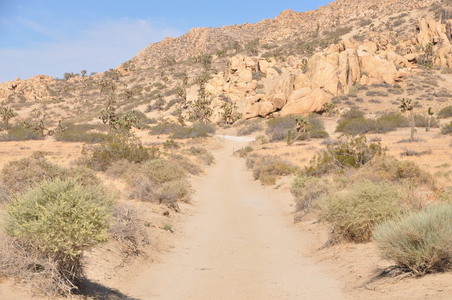 Enlarge photo 29