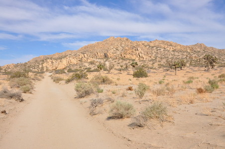 Enlarge photo 30