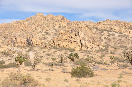 Enlarge photo 31