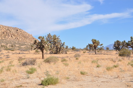 Enlarge photo 32