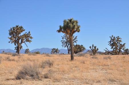 Enlarge photo 34