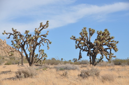Enlarge photo 35