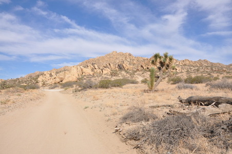 Enlarge photo 36
