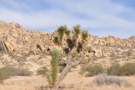 Enlarge photo 37