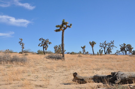 Enlarge photo 38