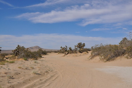 Enlarge photo 39